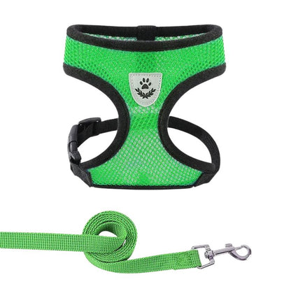 Breathable Dog & Cat Harness with Lead – Adjustable Fit