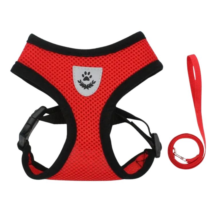Breathable Dog & Cat Harness with Lead – Adjustable Fit