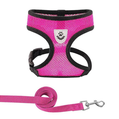 Breathable Dog & Cat Harness with Lead – Adjustable Fit