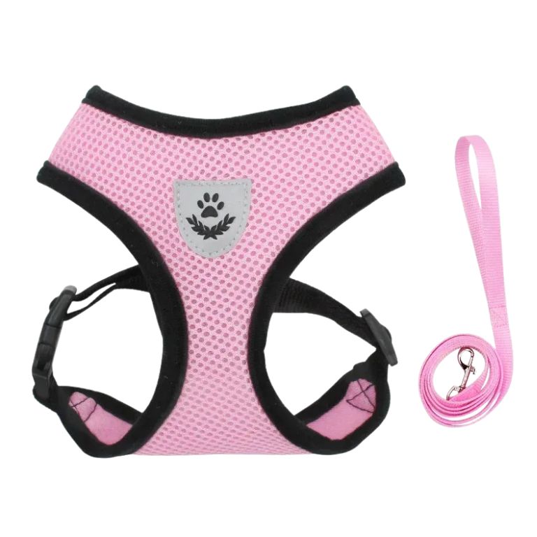 Breathable Dog & Cat Harness with Lead – Adjustable Fit