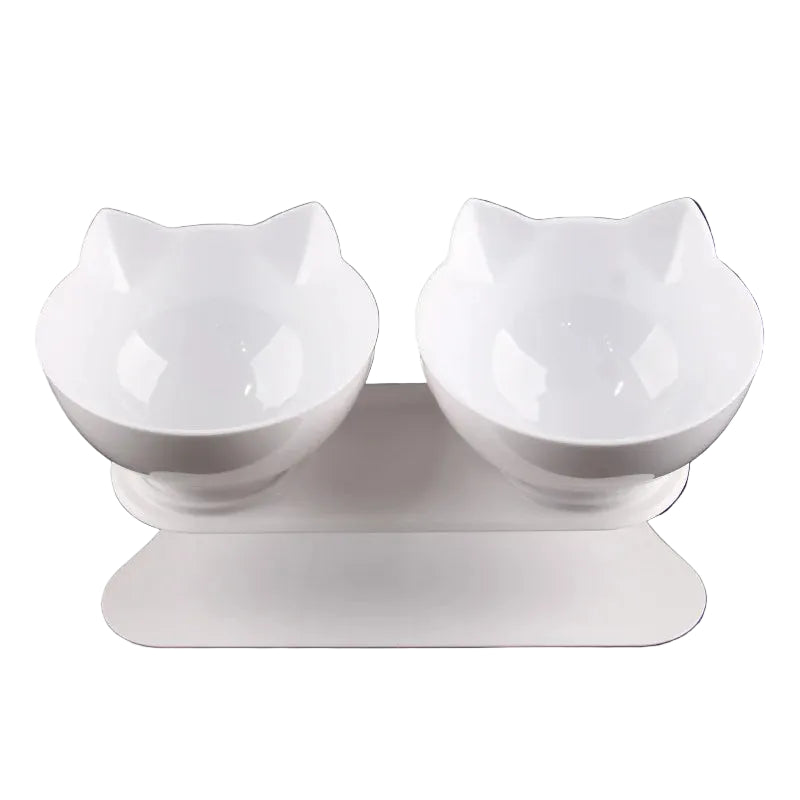 Non-Slip Double Dog Bowl with Inclined Stand – Food & Water Feeder