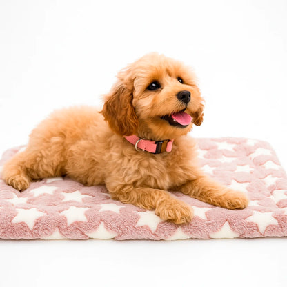 Cotton Pet Sleeping Mat – Soft Washable Bed for Dogs & Cats