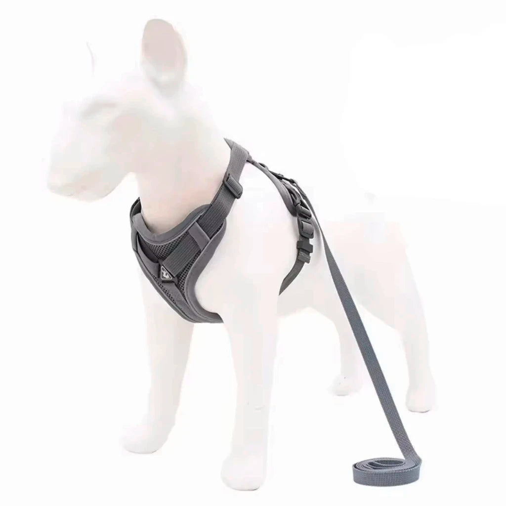 Adjustable Breathable Dog Harness – for Small to Medium Dogs